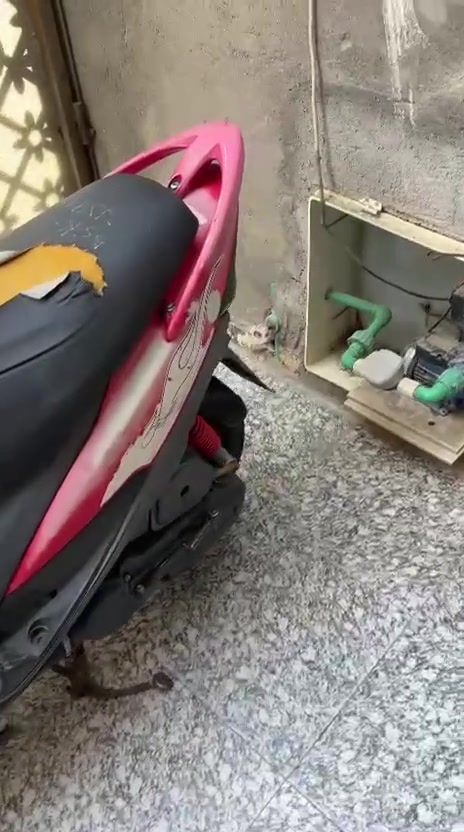 ماكس عدله بلاديه كله ختم واحد وي المكينه دراجه شرط النعومه والفحص كله ختم واحد اي شي ممبدل بيه مكاني تنومه كردلان قرب اسواق نهر حسن اي ستفسار هاذ رقمي ***********

