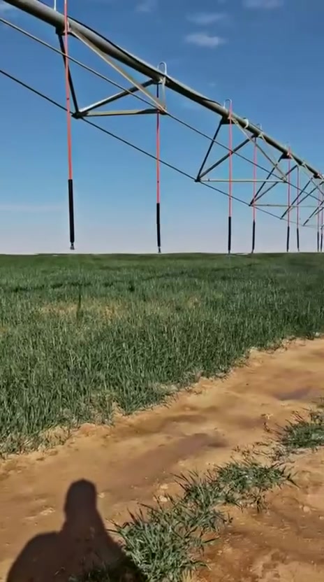 مرشه البيع 5 براج مشتغله موسمين جديده صناعه عراقيه مكانها طريق الرحاليه
***********
