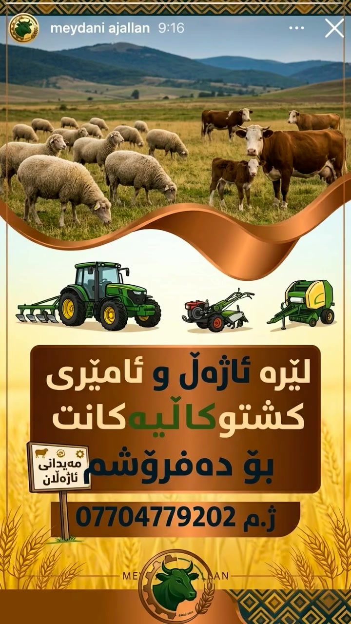 إعلان مجاني • مواشي • بيع سريع