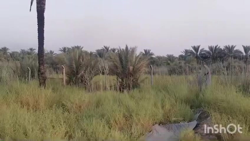 السلام عليكم عرض مميز ٥دونم طابو زراعي سند 25 سند مستقل أرض مخدومة وحلوة كافة الخدمات كهرباء طوارئ وماء سقى واسالة تبعد عن الشارع العام ٥٠ متر العنوان كربلاء طوريج ام رواية شارع العلماء شارع الزوار واجهة ٤٠٠ متر ونزال ٣٣ الأرض بيها حقل دواجن واجهة ١٢ نزال ١٠٧ الحقل مجاز وشغال ياخذ أكثر من ١٣الف طير الأرض تباع مع الحقل وبدون حقل سعر الدونم الواحد ٣٨ مع المجال سعر الحقل مع دونم وربع ١٦٠ مع المجال للاستفسار الاتصال على*********** او *********** عنوان المكتب كربلاء طوريج الخيرات نستقبل عروضكم واتساب اهلا وسهلا بكم

