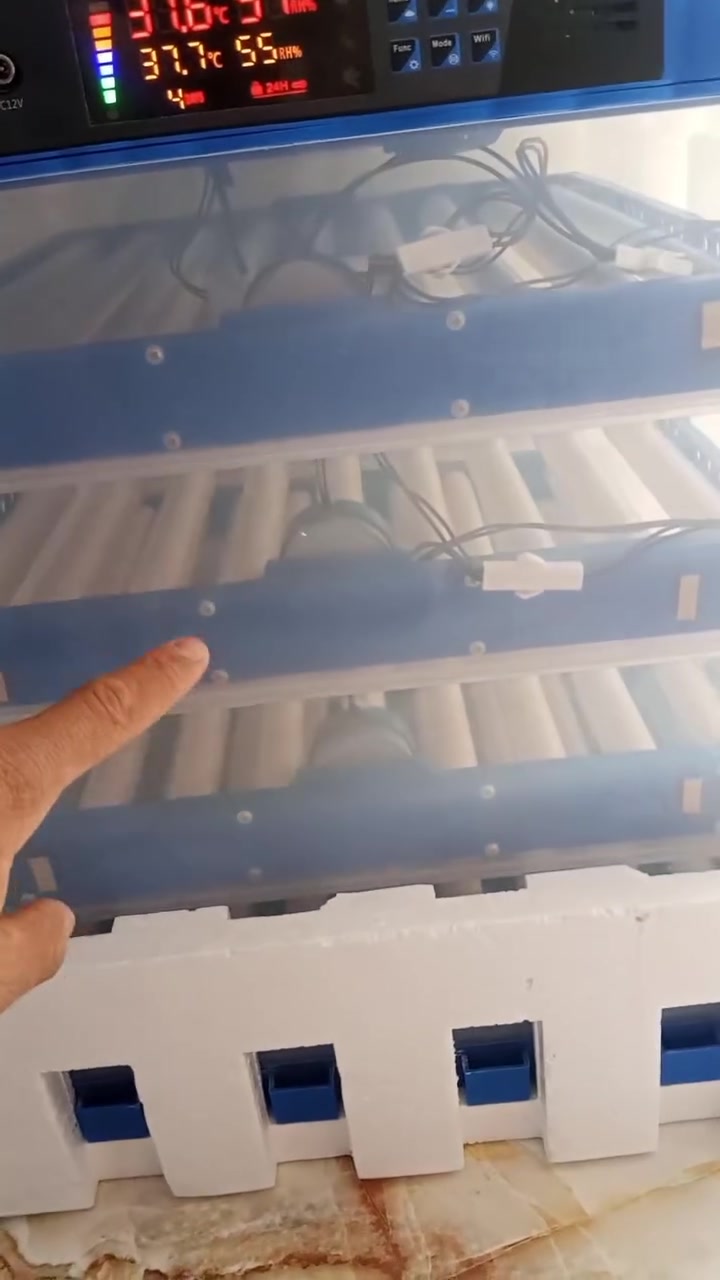 افلح من صلى على محمد وال محمد... سبب البيع الحلال مالتي ضربة نيوكاسل وخرب واهسي من الجني امانت الله الفقاسة سعره 350 الف عارضه ب275 الف..متاح فقاسة اسمارت فول اوتماتيك سعة 256 بيضة أربع طوابق تاخذ جميع أنواع البيض نسبة تفقيسهة 98% مكاني ديالى بعقوبة توصيل موجود حسب الأتفاق للاستفسار *********** ملاحظة شباب الشراي يتصل
