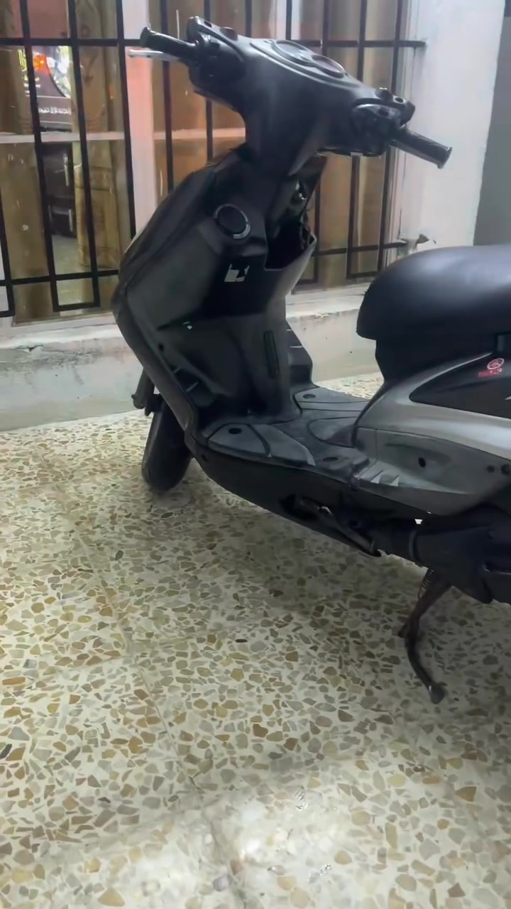 سكنس فحل • نوزل • نظيف