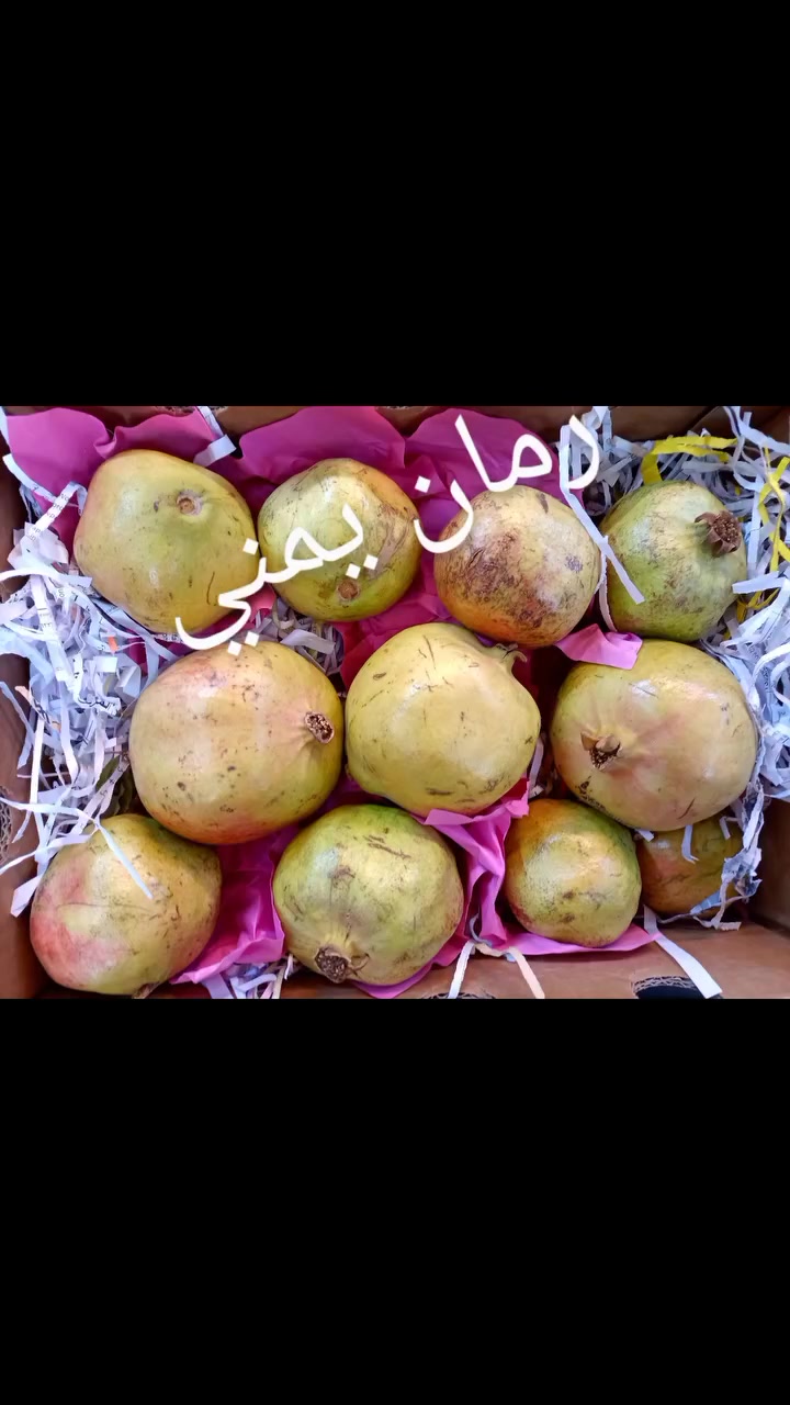 فواكه • توصيل • خرنابات شارع السچه