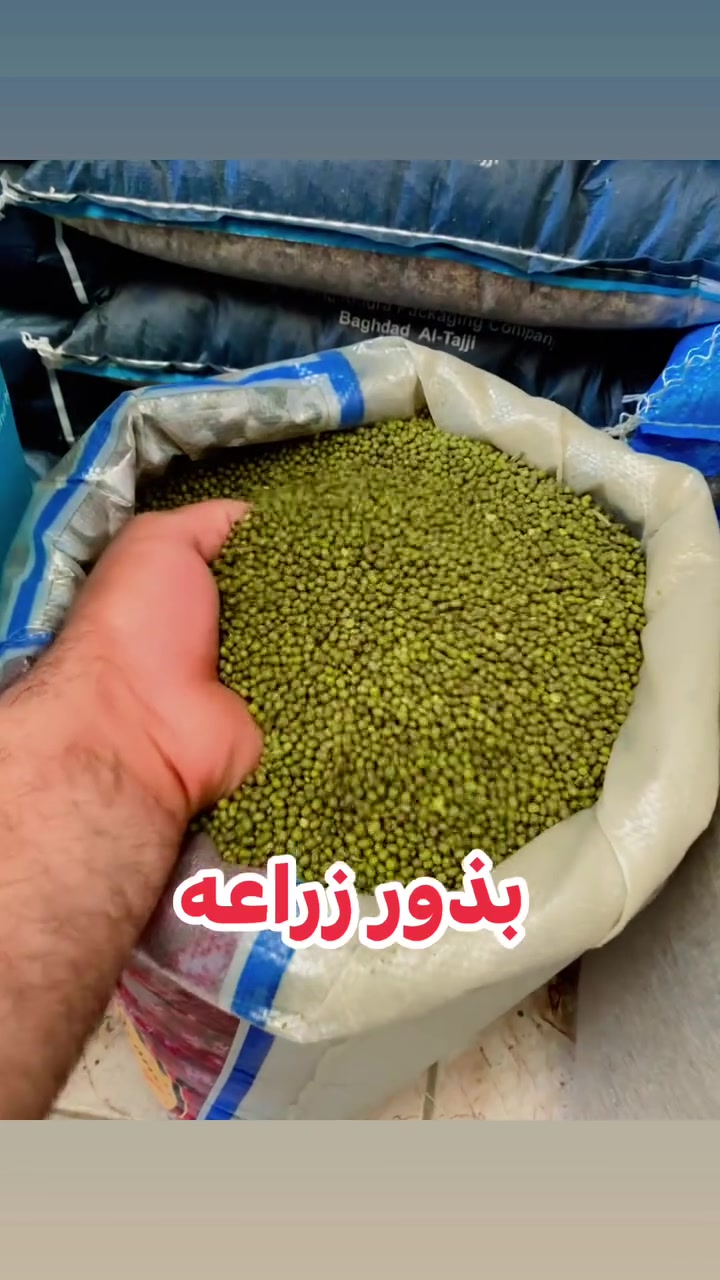 ذي قار قضاء النصر شارع الطيور ***********
