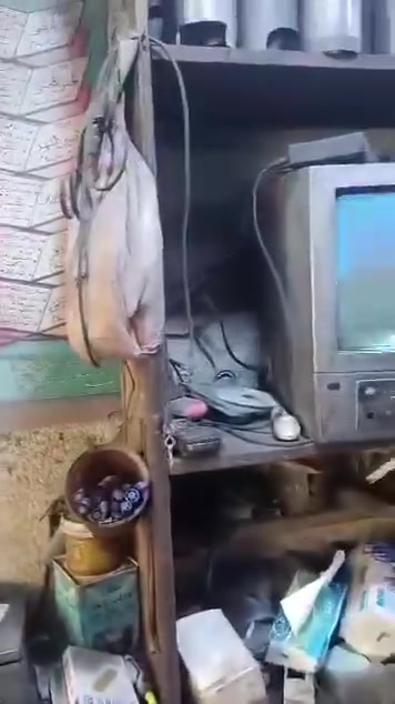 السلام عليكم
بعض الاخوة يريد يعرف شنو نوع بوشات السلندر  الي نستخدمها للمحركات بصورة عامه
راح انزل فيديو اشرح فيه كل شي
بغداد ساحة الطيران
***********

نص مكتوب في الصور:
- HONOR 90 Lite
- 100MP Ultra Camera