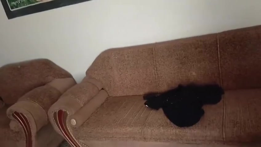 مكلف مكلف مكلف بل نشر لاحد يراسلني على الخاص كلشي معرف  عنهن 
غرفة أخشاب للبيع +تخم مثل مواضح كدامكم شراي يخابر على هذه الرقم ***********
