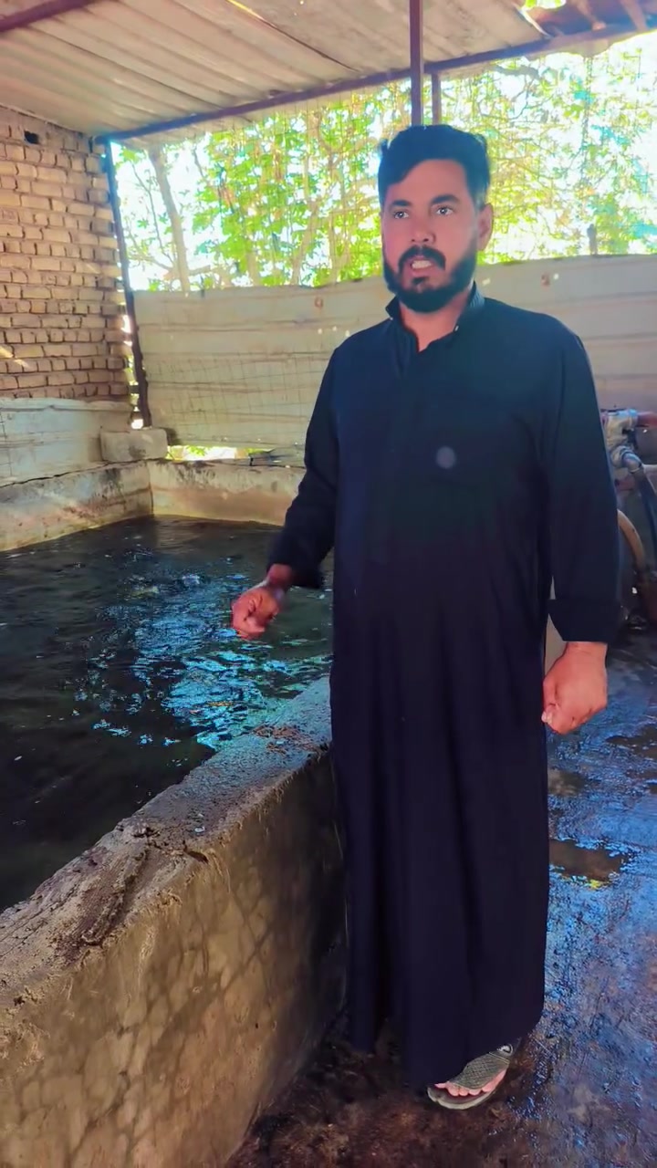 عرض عرض علوه غازي عنوان دجيل شارع البراري حجز *********** (***********
@إشارة
