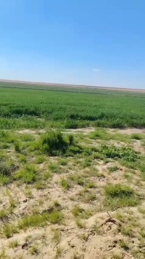 سلام عليكم مزرعه للبيع مساحة ٧٠٠ دونم
جاهز اجازة استثمارية
بيها ثلاث مرشات 2×80دونم
واحدة×110دونم 
ثلاث ابار
+ مولدات عدد اثنين كمنز
الموقع كربلاء كهوف الطار خلف قرية الزكاريط
للاستفسار ***********
