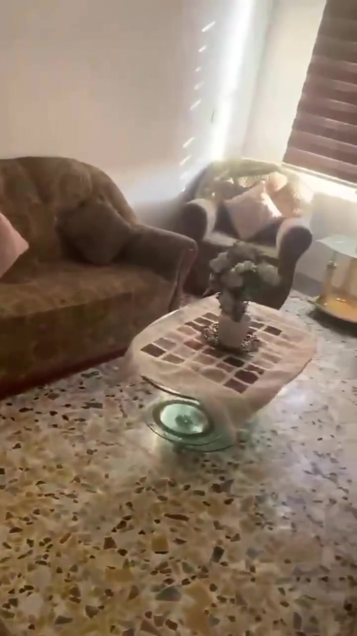 ديوان • طباخ • ثلاجه تجميد كامل