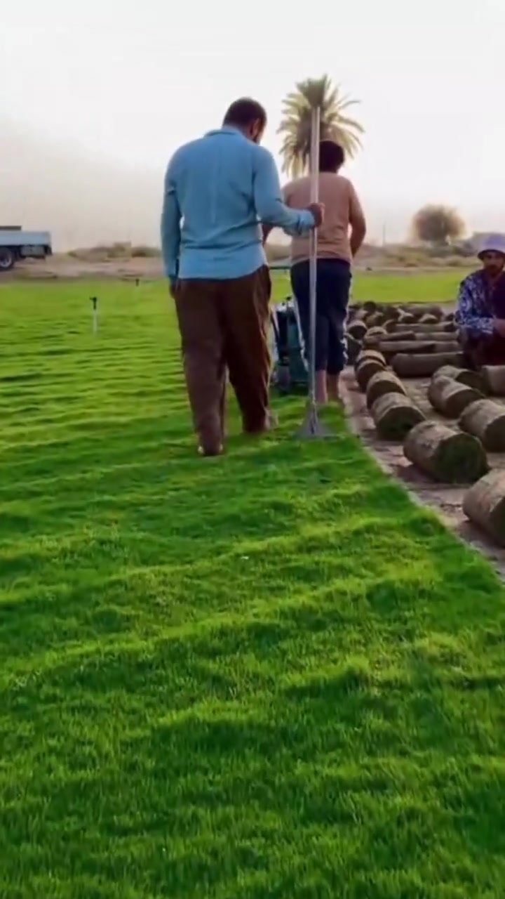 تخفيضاتنا غير شكل 😍
#التوصيل صار مجاني ☄️
#اسرع توصيل بالعراق لباب البيت ☑️

من مزارع الاوس يتوفر لدينا ثيل درجة اولى بكافة  انواعه
#يتوفر  توصيل لكافة محافظات العراق

متوفر لدينا كافة انواع الثيل الطبيعي💚
#نوعية ممتازة  هندي - امريكي - ايطالي فرنسي... 🌿☘️🍀
وبأسعار تنافسية 
 لدينا كادر متخصص في زراعة الثيل بطريقة صحيحة وناجحة

مستعدون لتجهيز الحدائق العامة والمتنزهات والملاعب  
يوجد توصيل الى كافه المحافظات
للتواصل او الاستفسار اتصل على :
‎
***********
***********
