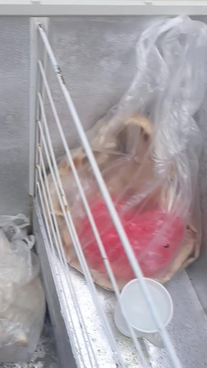 مجمدة • بغداد • بيها مجال