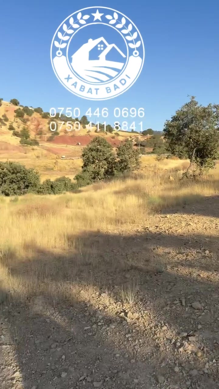 ٢ دونم • بادي • بو فروتني