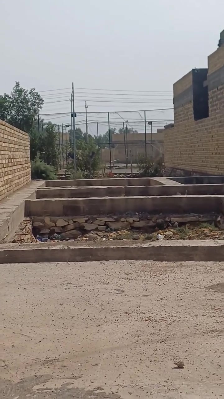 سيد جابر • هيكل زراعي • ١٦٥م