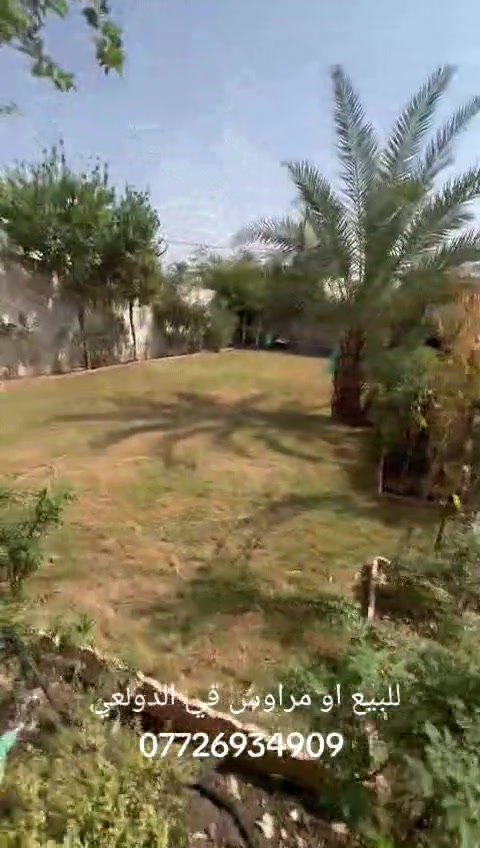 ربع دونم • ١٧٥م • طابو صرف