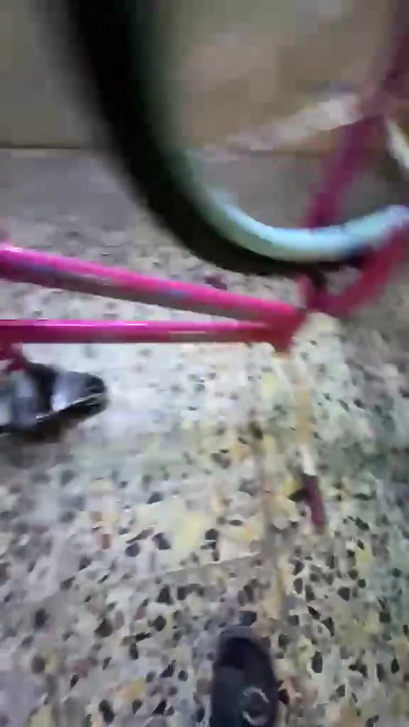 السلام عليكم بايسكل BMX لون وردي امريكي اخو الجديد استعماله قليل السعر 80 وبيه مجال المكان الغزالية للتواصل ***********
