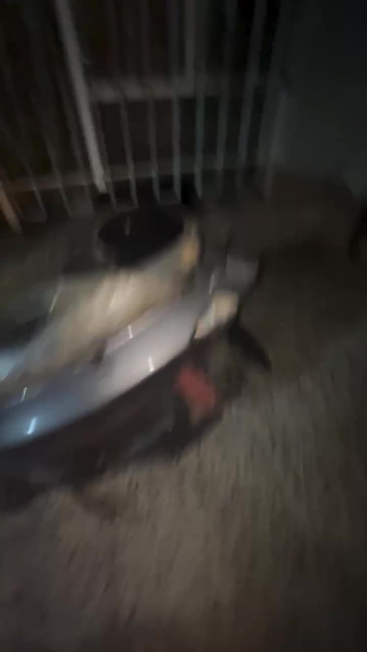 سكنس • نقص صفحه • تجفيت جديد