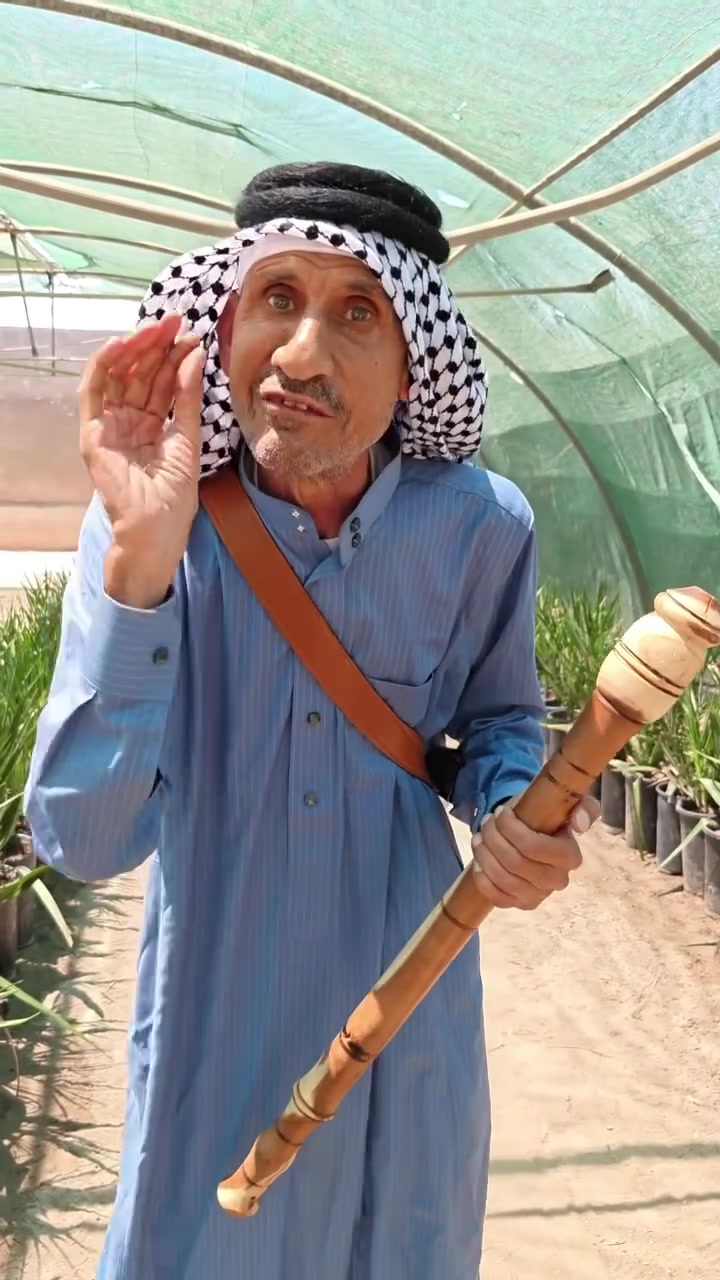 🌴 المجهول والبرحي النسيجي… والعدد مفتوح
إذا تبحث عن نخيل مميز وبأصناف مطلوبة، وفرنا لكم المجهول والبرحي النسيجي بأعداد مفتوحة.

📞 للاستفسار والتواصل:

* قسم مبيعات النخيل: ***********
* قسم مبيعات النخيل: ***********
* قسم الأسمدة والتوصيل: ***********

📍 الموقع: محافظة بابل – مدينة الحلة – طريق منطقة عوفي.

#البشير_مشروع_وطن
#شركة_البشير_العالمية

