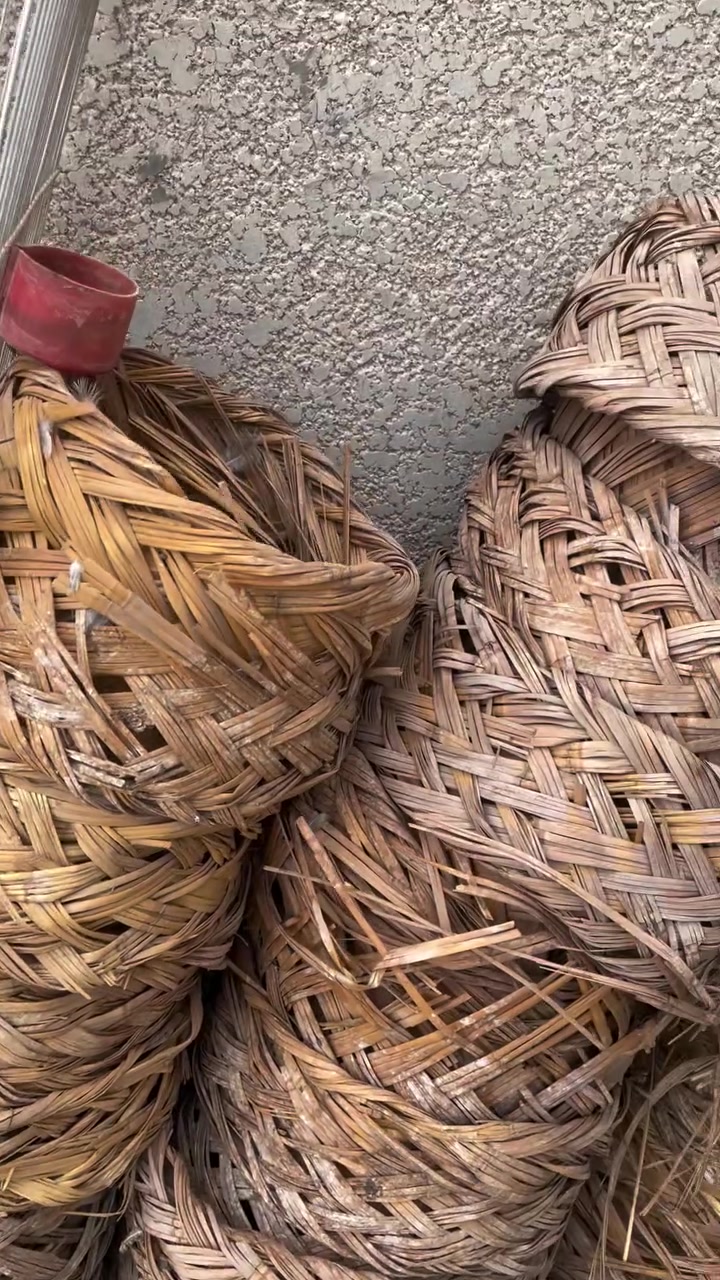 بالكاظمية • بالطي • حضانتين