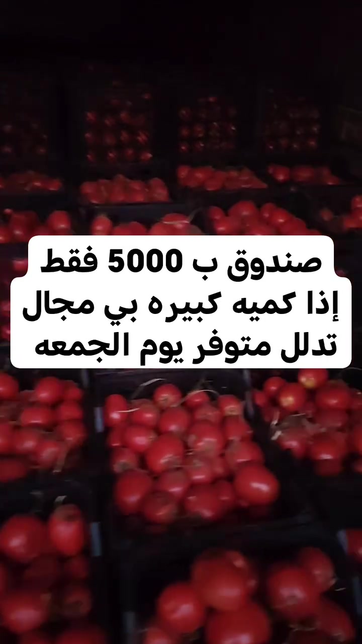 صندوق طماطه • مكتب العبيدي • تدلل