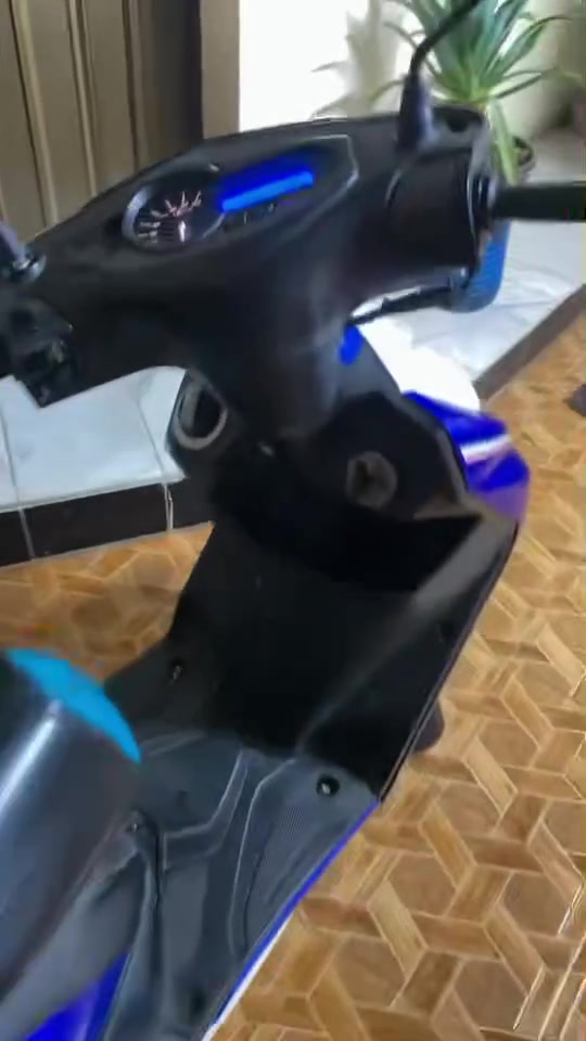 سكنس • ياباني • مكفوله