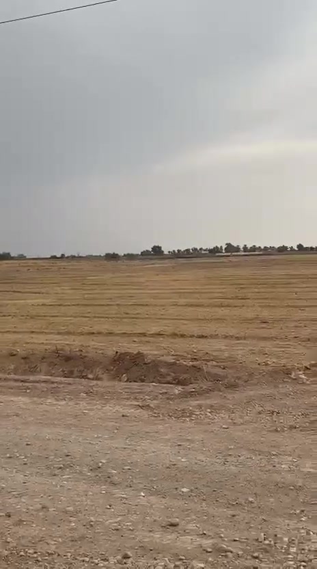 ارض زراعي • سند ٢٥ • بيراوجلي