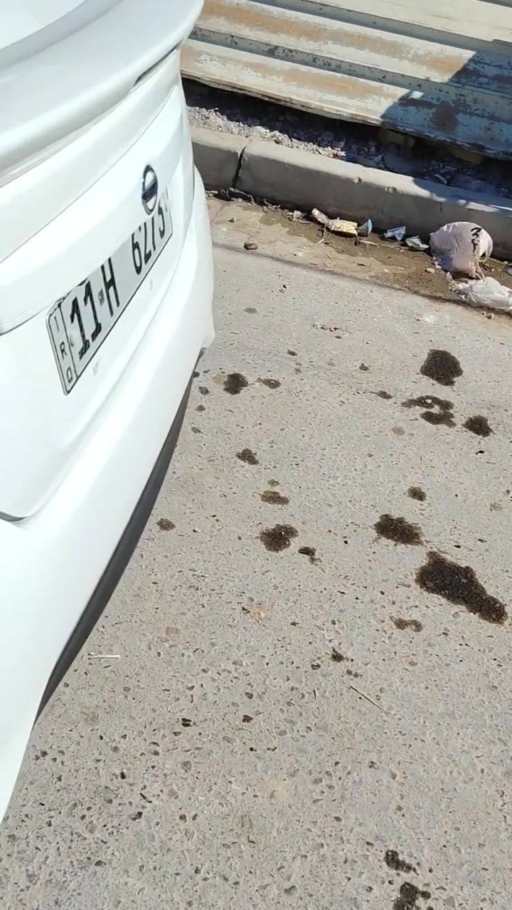 صني • ٢٠٢٤ • ماشيه ١١ ألف