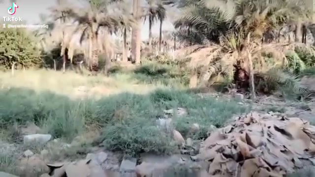 الراشديه بغداد • ٤٠٠م • سند ٢٥