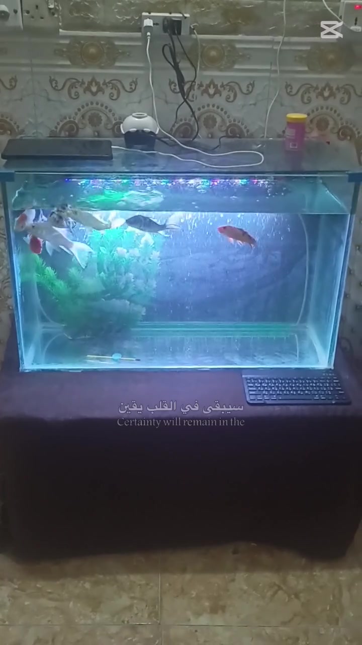 حوض عملاق • اوكسجين • ماطور كاتم