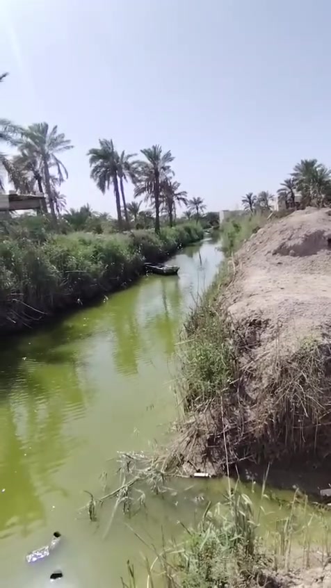 سلام عليكم اخي. عندي قطعة الف متر سهم بالطابو واجهة 25 ونزال 40 /ماء كهرباء بظهرها نهر فرعي من ابو مغيرة باسمي ابو كوصرة قرب حسينية قاسم جري للتواصل ***********
