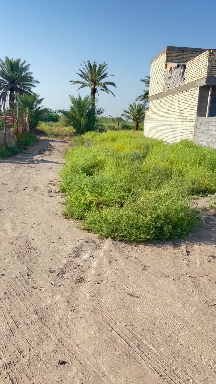 السلام عليكم قطعت ارض للبيع 300متر قرار 17
في منطقت السلاميات من جهت شارع البلوك قطعة حلوة وعلى منطقة موجهة بيع مستعجل عارضهة ب16. مليون مكاتبة بسمك كبل ***********
