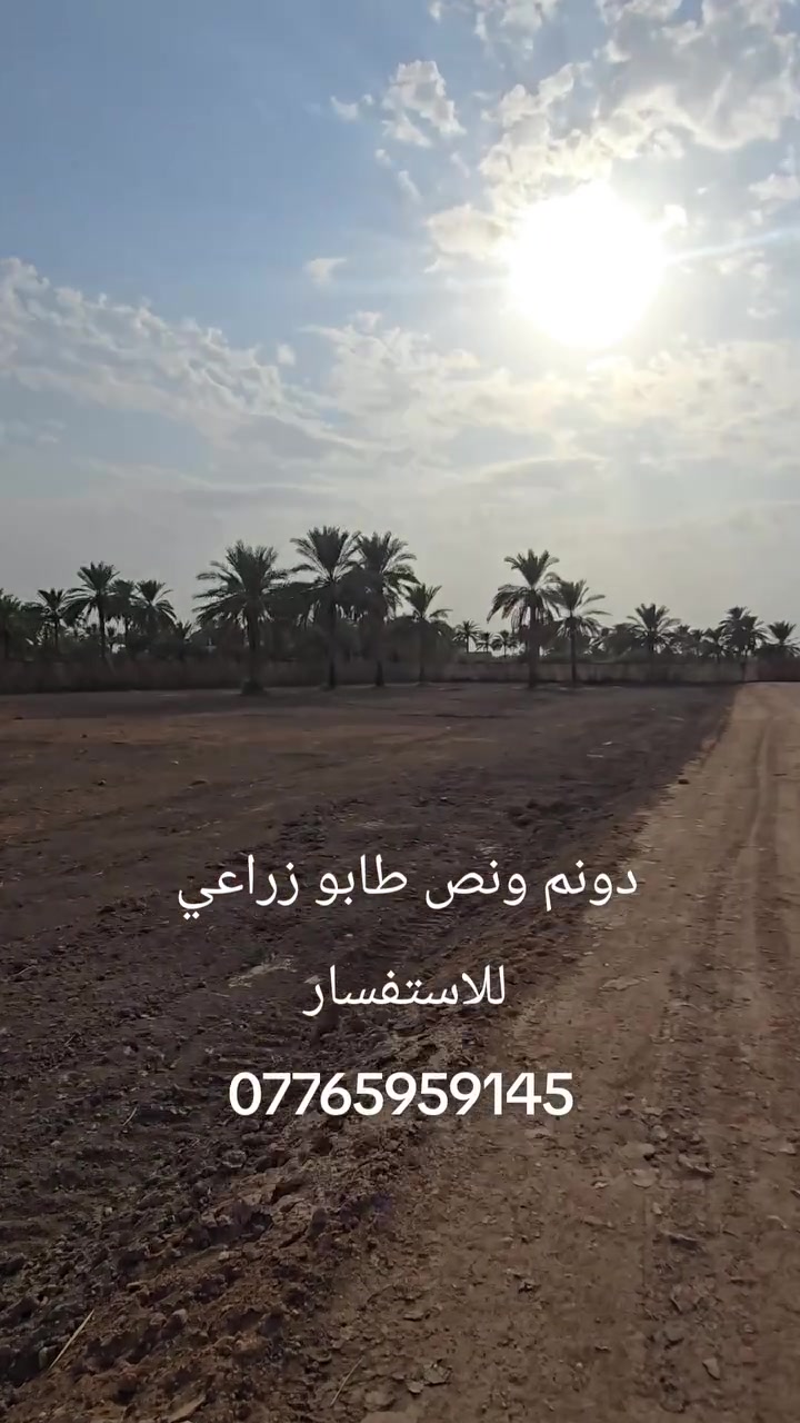 دونم ونص • طابو زراعي • طريق النيل القديم