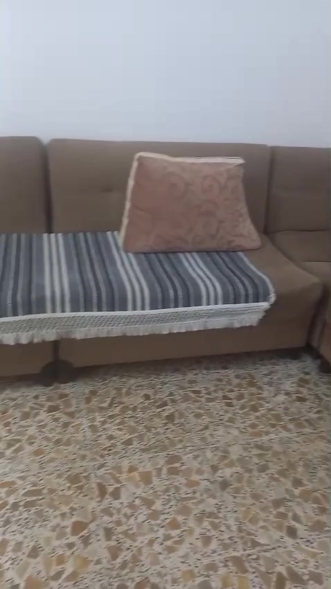 ديوان • الرمادي • فيه مجال