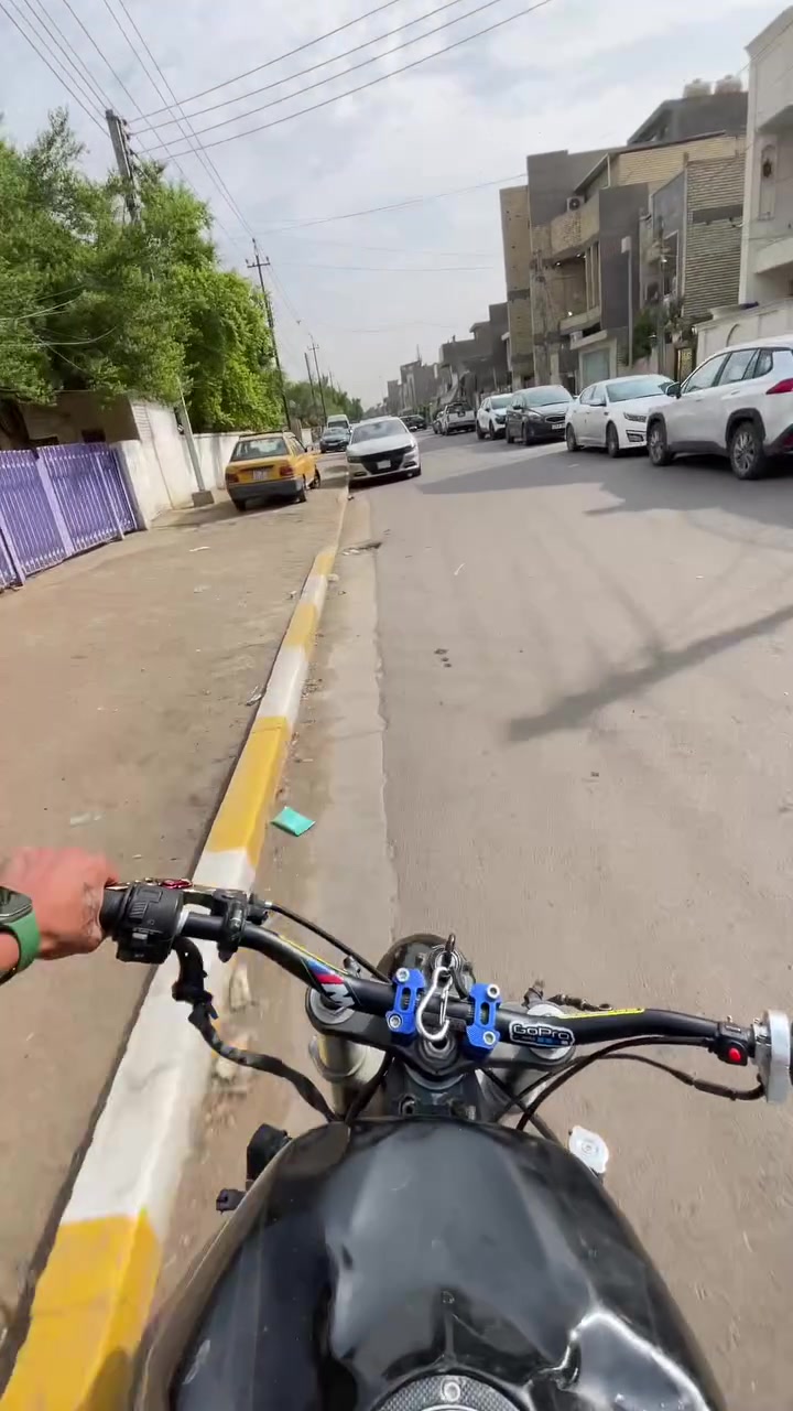 بطح • RR954 • بدون اوراق