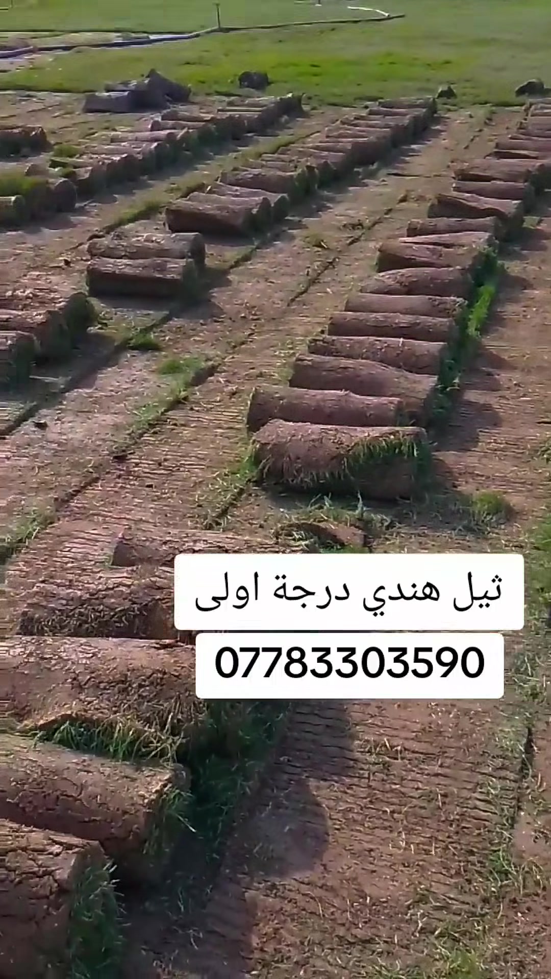 #الاول والاكثر خبرة  في زراعة الثيل الطبيعي في ديالى
زبائننا الكرام نرحب بكم في موسم الجديد
متوفر كافة انواع الثيل الطبيعي 
الثيل الامريكي🌿الثيل الهندي🌿الثيل الايطالي 🌿الثيل الفرنسي
مع كادر مختص يجيك لباب بيت #يختلف سعر حسب محافظة
  وكفاءة عالية
نجهز كل انواع الحدائق
والملاعب والمتنزهات 
والمشاتل ودوائر الدولة
الاسعار تختلف بختلاف النوع
#يوجد توصيل سريع لكافة المحافظات

للطلب او الاستفسار التواصل مع الصفحة او الاتصال على الرقم التالية
 
***********

