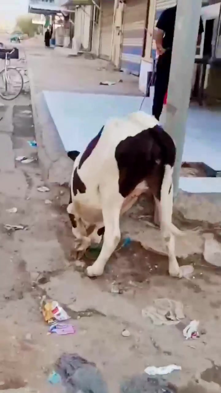 فضل الله واهل البيت كل يوم بيومه مستعدين كل المناسبه والمطاعم جزاره بركاته المرتضى العنوان الاسكان النزله الثالثه يم حسينيه الامام زيد العابدين الحجز السريع ‏‪***********‬‏
