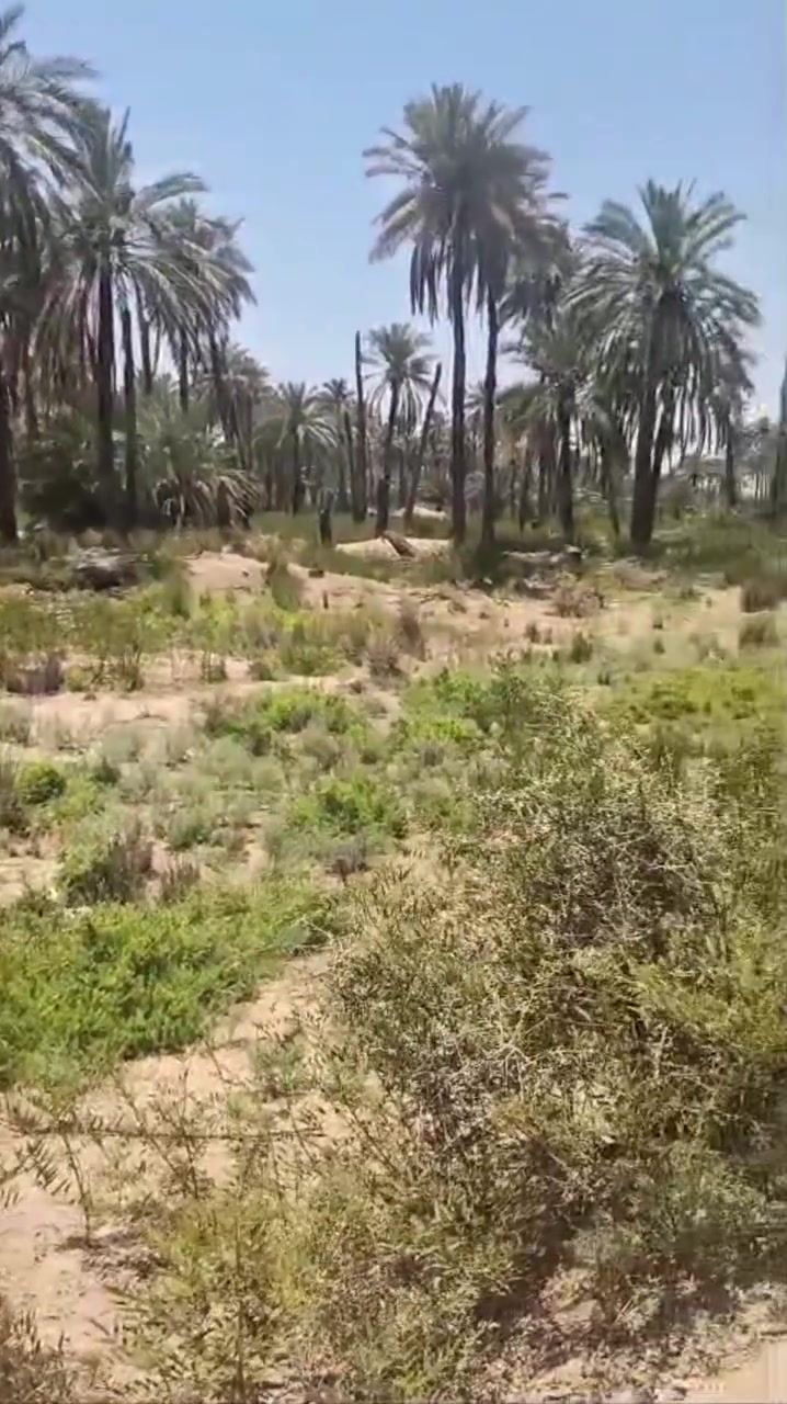 🔴قطعة أرض للبيع!

🏫المكان : الحله منطقة عنانه

📐المساحة الكلية [ متر١٥٠٠مربع]،

📍 [ كل الخدمات متوفره  ]

🏡 وشارع واسع جدا 

💰 لا تفوّت الفرصة… 🔑

للأستفسار

 تواصل معنا الآن على الرقم التالي

 [***********]

 واحجز موعدك للمعاينة.

🏡 دار العمر بانتظارك!"

 #روح_الحلة #عقارات_عنانه #تابعونا
