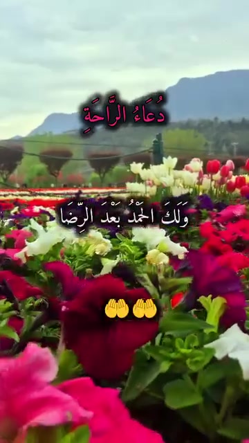 حي ميسان • ٥٠م • دورين