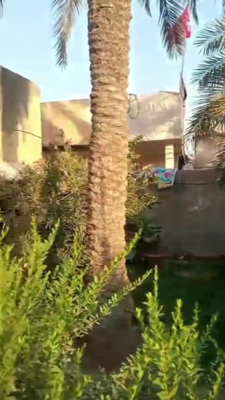 يا الله
بيت للبيع ٢٥٠ متر بالجعارة  سعر مناسب
***********
