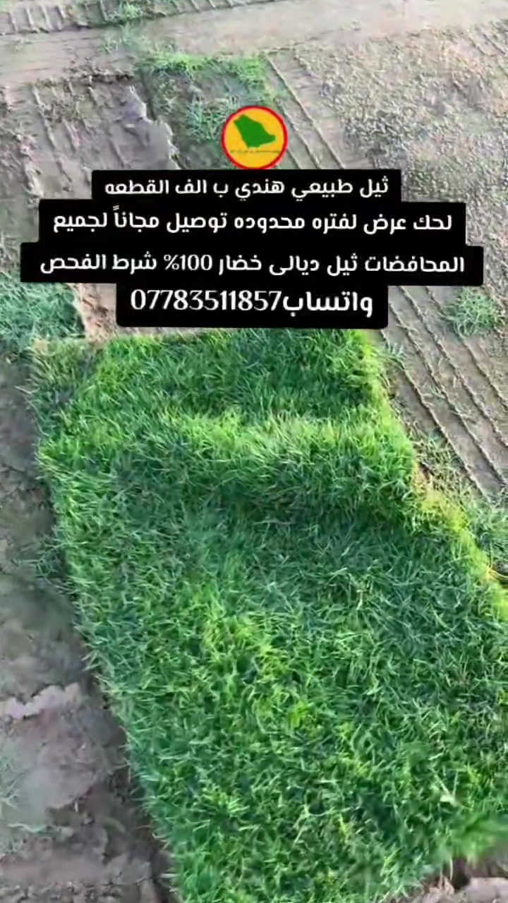 #ثيل***********
