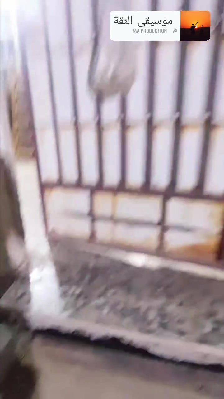 سبع قصور • ١٠٠م • سند ٢٥