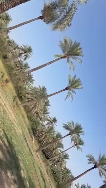 المدائن الجعارة • دونم ٢٥٠٠م • طابو ملك