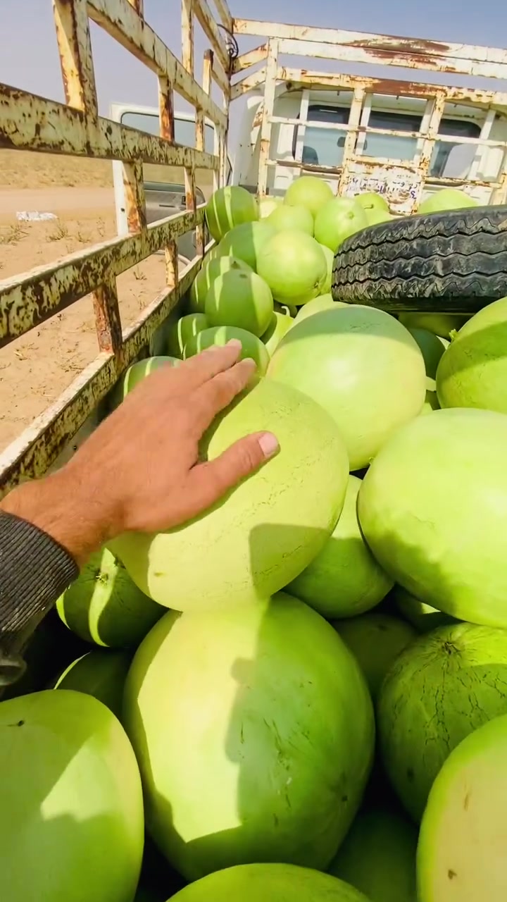 بصمة • مكسار • الجزيرة مباشر