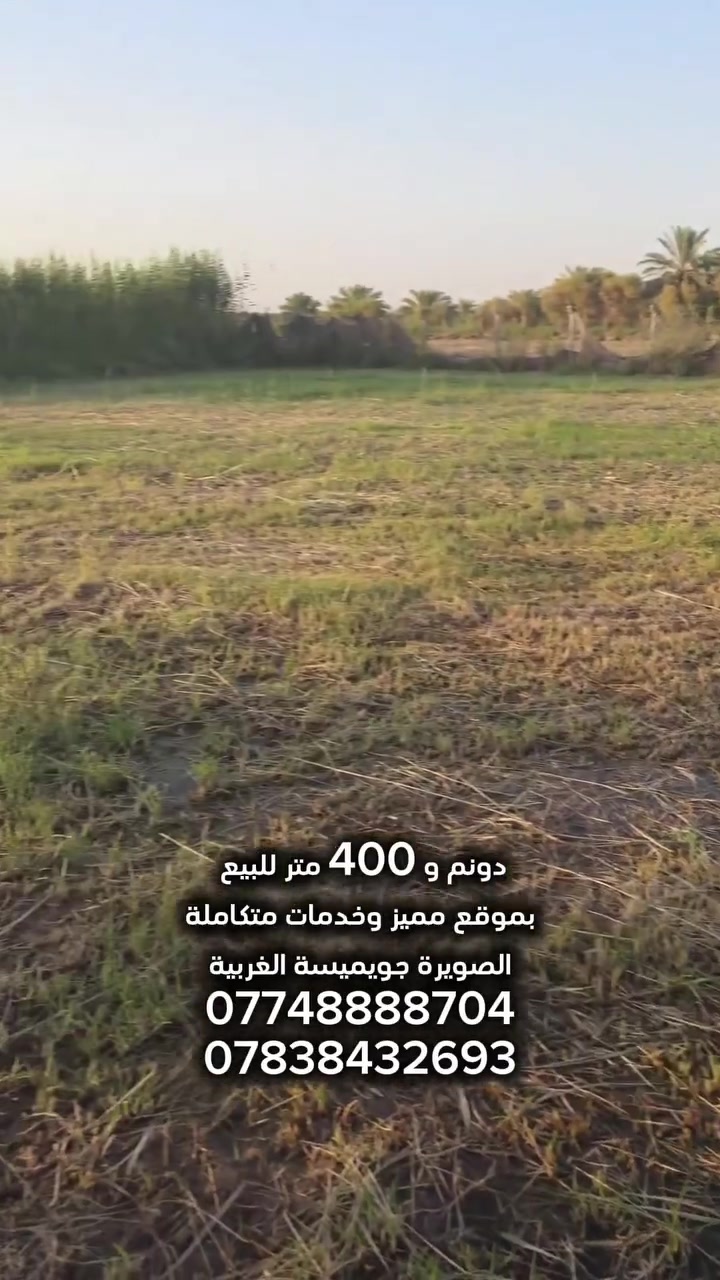 أرض زراعية مميزة للبيع في الصويرة – منطقة جويميسة الغربية
​فرصة استثمارية وتمليك مثالي بموقع استراتيجي وخدمات متكاملة!
​المساحة: دونم و400 متر مربع.
​النوع: طابو زراعي (سند 25).
​الخدمات: متوفرة بالكامل (ماء سقي + ماء إنسيابي/إسالة + كهرباء + طريق مبلط).
​الموقع والمميزات:
​تبعد عن الشارع العام مسافة 1 كم فقط.
​تبعد عن مزرعة جميرا مسافة 300 متر.
​للاستفسار والتواصل:
​***********
​0783843269
#العراق_السعودية_قطر_الامارات_الكويت_البحرين_اليمن_الخليج_سوريا_مصر_لبنان_الجزائر_تونس_المغرب_قطر_دبي #بغداد_العراق🇮🇶 #عقارات #اراضي#دوانم
