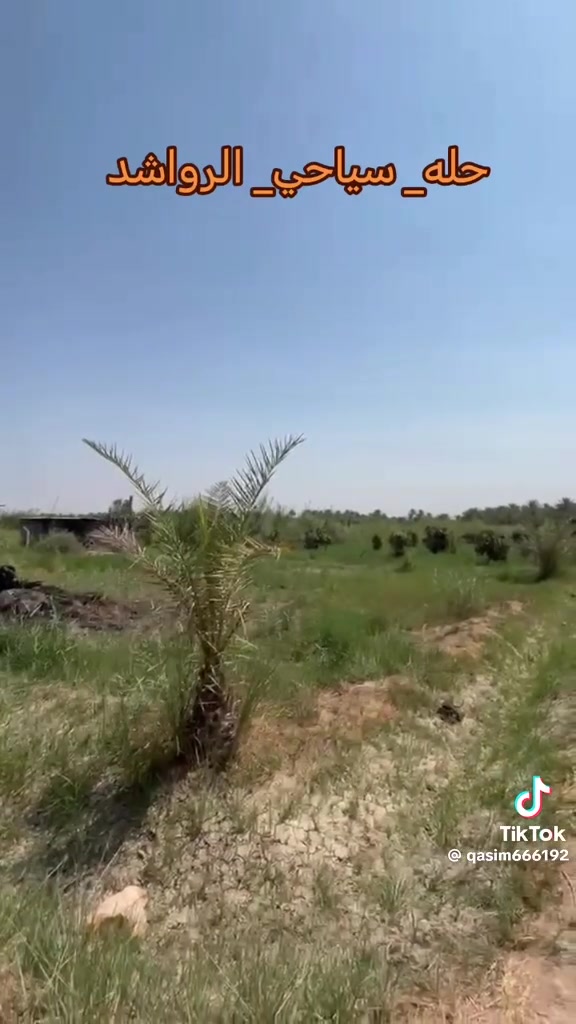 السلام عليكم
عندي ارض زراعيه للبيع سند 25تحويل اسهم المساحة 3دونم مكاني بابل السياحي قرية الرواشد ماي سقي صيف شتاء من الشط نهر اله مباشر تحتوي على تين ونخل ملون زراعه جديده تبعد عن الشارع العام كيلو ونص واي اسفسار ***********
