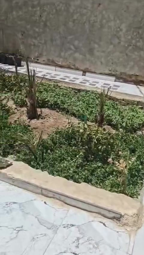 بيت زراعي • ٢٥٠م • ازديناويه