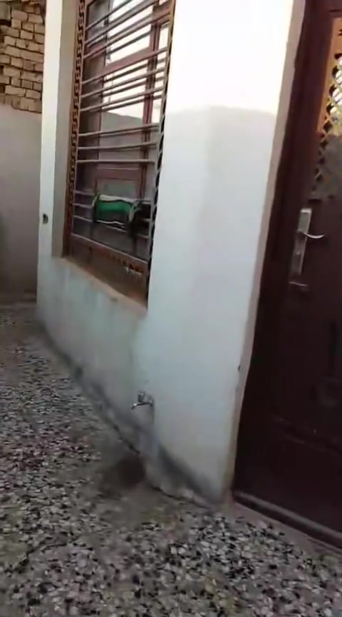 بيت مساحته 200 متر.طابق واحد بناء كامل فول مواصفات غرفتين واستقبال وهول وحمام  تواليت ثنين خارجي وداخلي ومنور داخل البيت وترك حول البيت بالكمل   ..للبيع بسعر مناسب ...
للاتصال *********** العنوان نهاية الأربع شوارع"  شارع المخبز 10فرع النفطيه
بيت مساحته 200 متر.طابق واحد بناء كامل فول مواصفات غرفتين واستقبال وهول وحمام  تواليت ثنين خارجي وداخلي ومنور داخل البيت وترك حول البيت بالكمل   ..للبيع بسعر مناسب ...
