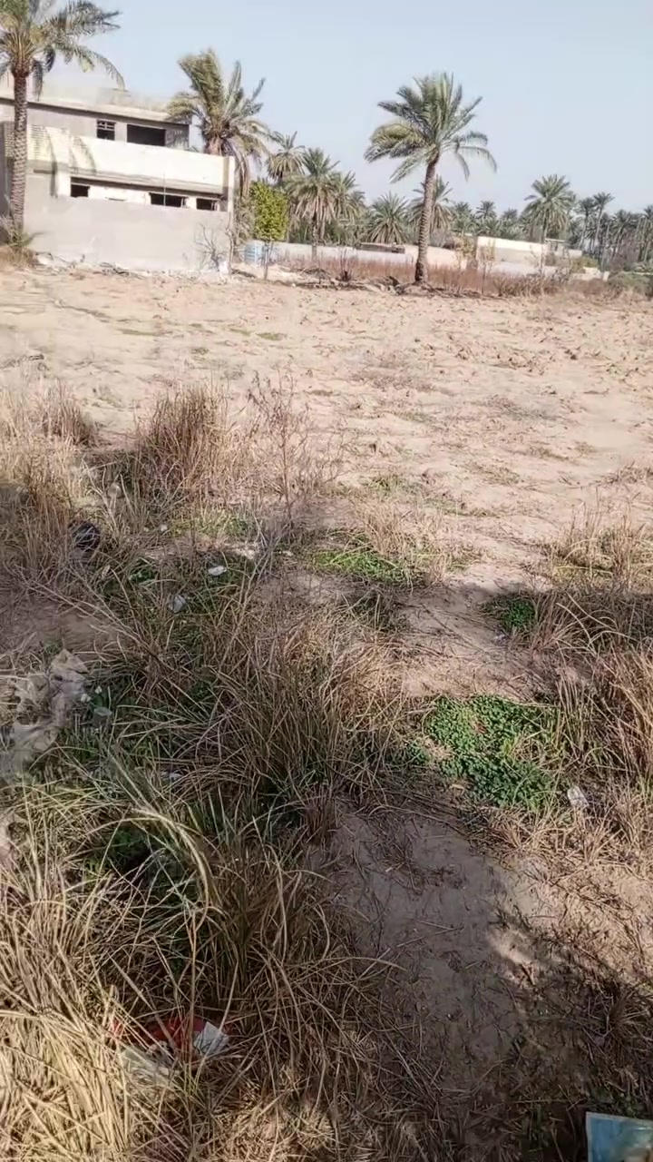 للبيع
قطعة أرض 440 متر زراعي سند 25 في الدورة البوعيثة 
قرب جامع التوبة واذا من طريق الهواشة بعد بانزين خانة العهد 
واجهة 10 نزال 44 خدمات مي و كهرباء و المنطقة كلها تبليط  بس الفرع مال الأرض سبيس ومنطقة سكنية 
سند مشترك الي يشتري ينضاف اسمه بالسند
اني صاحب الارض 
للاستفسار اكثر واتساب فقط ‏‪***********‬‏
