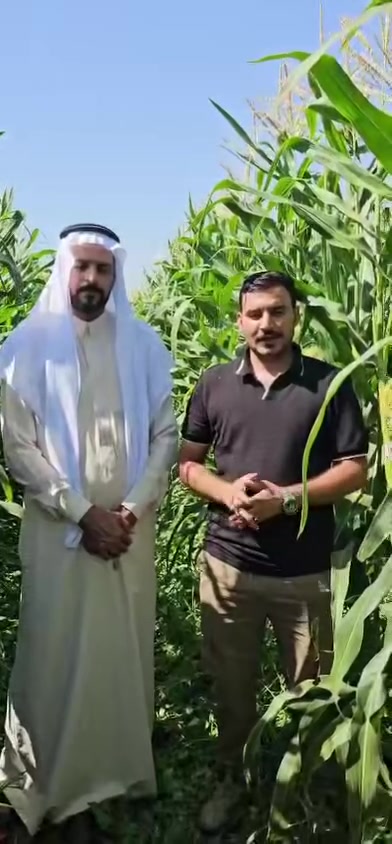 كانت لنا جوله حقليه
لمتابعة صنف الذره الصفراء 
الكرواتي المنشأ
في قضاء الدبس 
قرية علّص
لله الحمد نتائج مرضيه
تجهيز مكتب العالميه الزراعي
