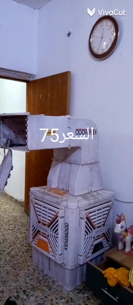 ابودشير • للبيع • كلهن