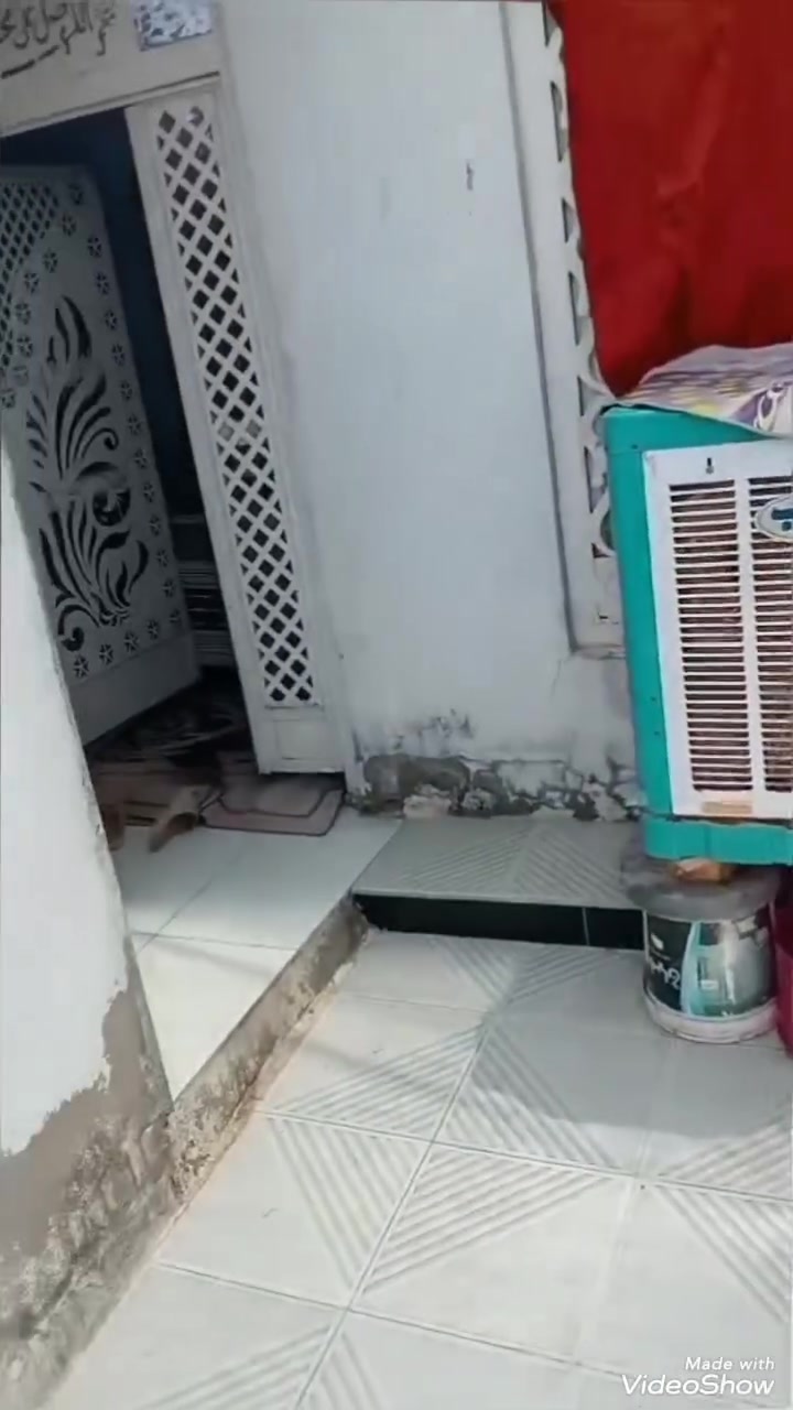 يوجد بيت مساحه 100م مربع 10في 10 قريب الشارع 120 متر بي غرتين وصاله ومطبخ وبراني كامل خدمات وتساب ***********
